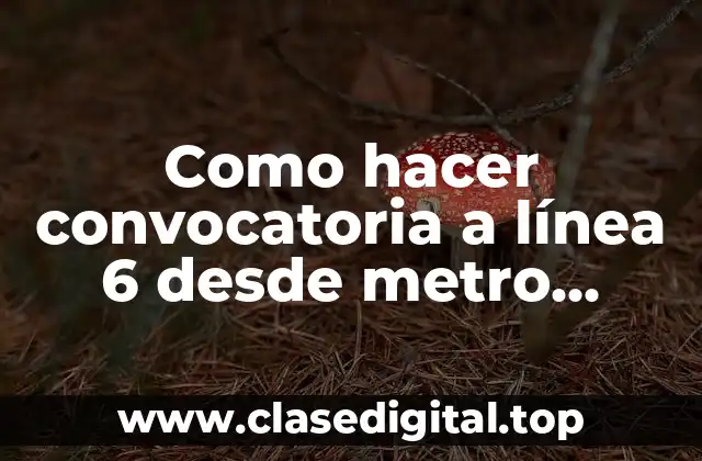 Como hacer convocatoria a línea 6 desde metro Ñuñoa