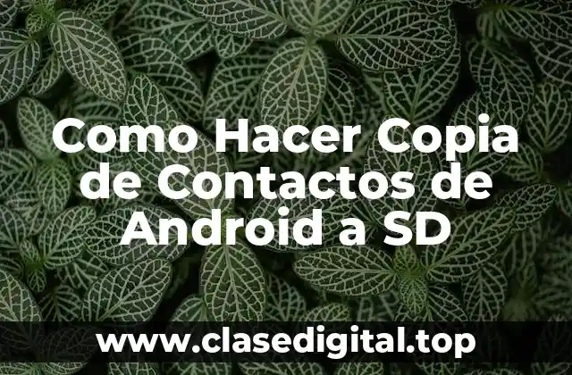¿Qué es Hacer Copia de Contactos de Android a SD?