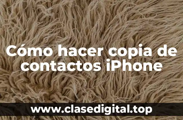 Cómo hacer copia de contactos iPhone