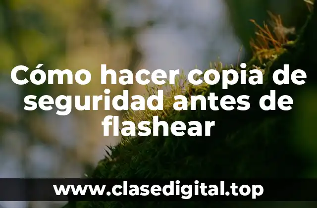 Cómo hacer copia de seguridad antes de flashear