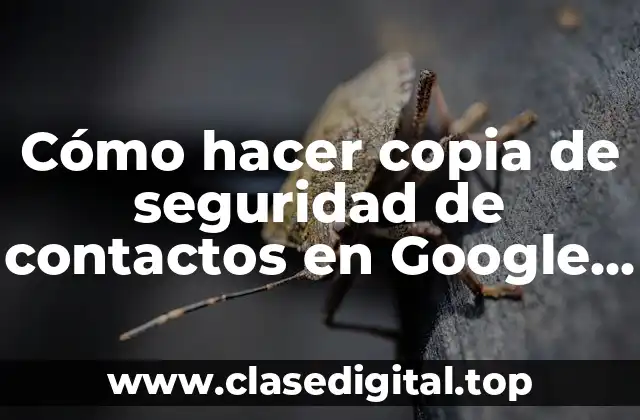 Cómo hacer copia de seguridad de contactos en Google Drive