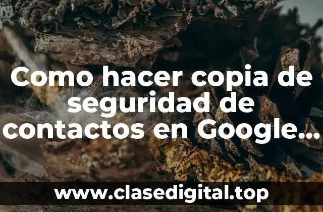 Como hacer copia de seguridad de contactos en Google Samsung