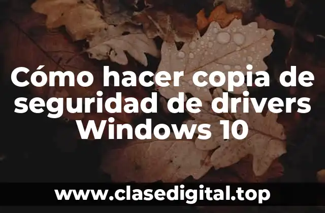 Cómo hacer copia de seguridad de drivers Windows 10