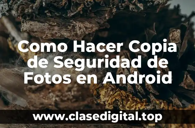 Como Hacer Copia de Seguridad de Fotos en Android
