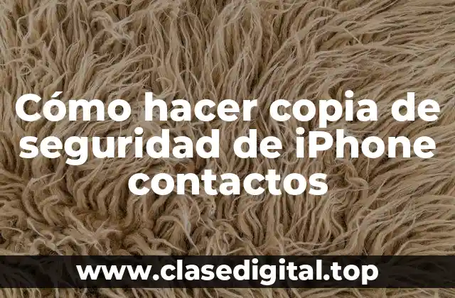 Cómo hacer copia de seguridad de iPhone contactos