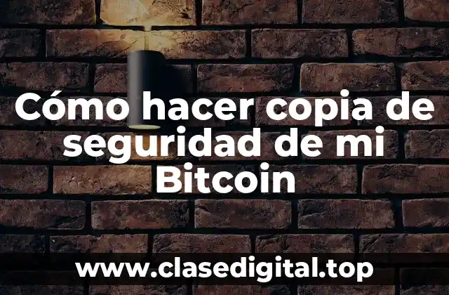 Cómo hacer copia de seguridad de mi Bitcoin