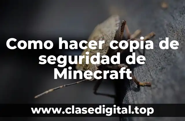 Como hacer copia de seguridad de Minecraft