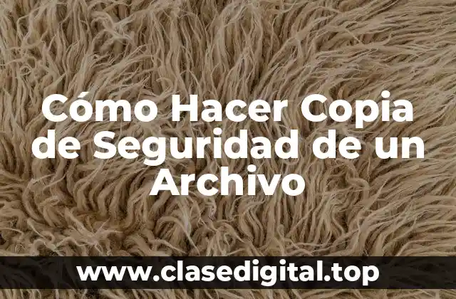 Cómo Hacer Copia de Seguridad de un Archivo