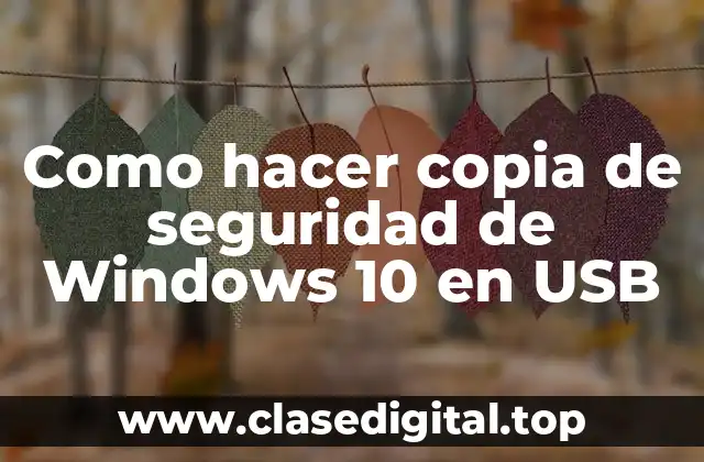 Como hacer copia de seguridad de Windows 10 en USB