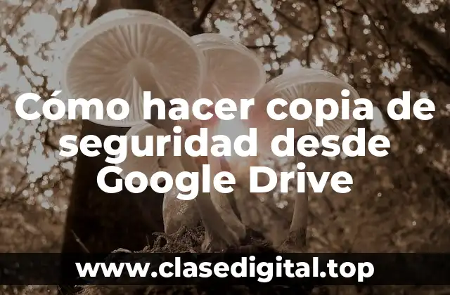 Cómo hacer copia de seguridad desde Google Drive