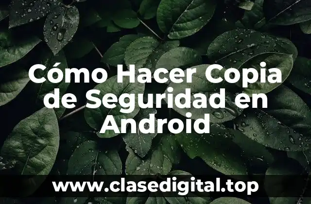 Cómo Hacer Copia de Seguridad en Android