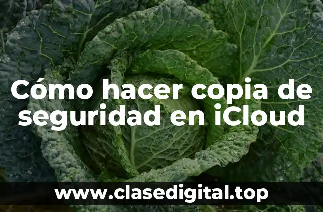 Cómo hacer copia de seguridad en iCloud