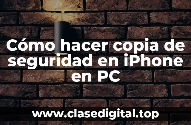Cómo hacer copia de seguridad en iPhone en PC