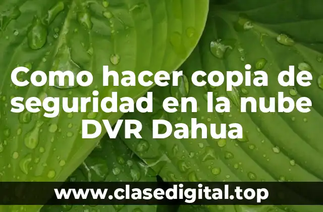 Como hacer copia de seguridad en la nube DVR Dahua