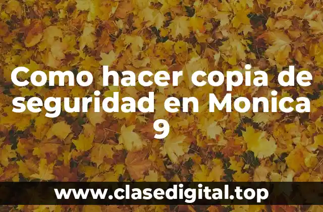 Como hacer copia de seguridad en Monica 9