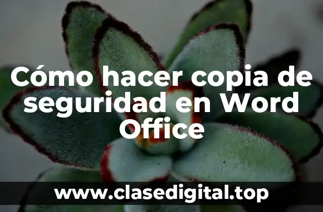 Cómo hacer copia de seguridad en Word Office