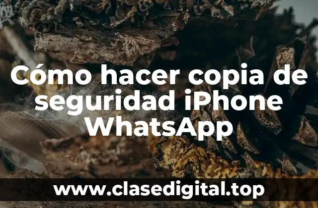 Cómo hacer copia de seguridad iPhone WhatsApp