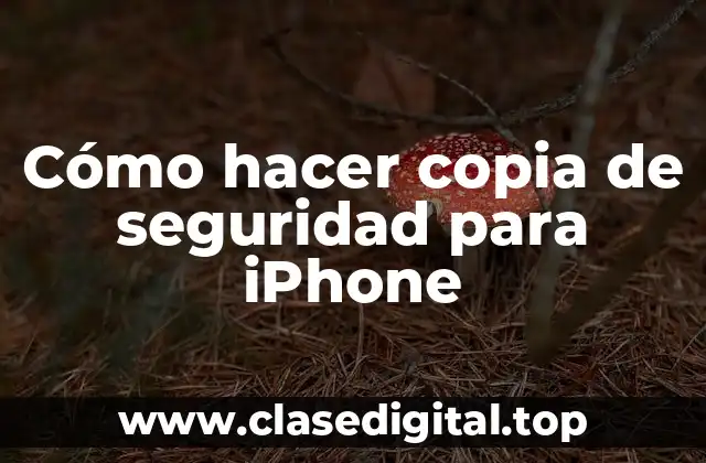 Cómo hacer copia de seguridad para iPhone
