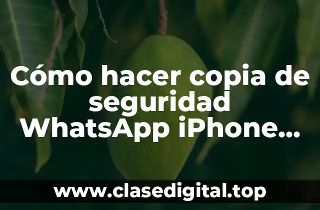Copia de seguridad WhatsApp iPhone desde PC