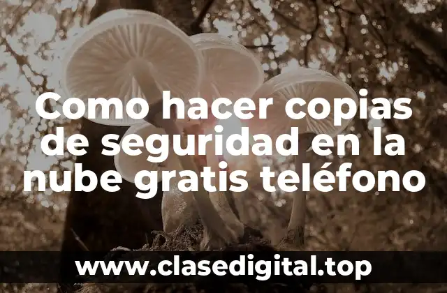 Como hacer copias de seguridad en la nube gratis teléfono