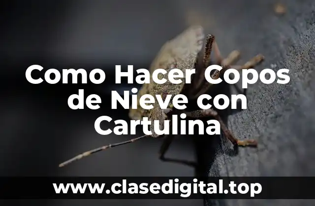Como Hacer Copos de Nieve con Cartulina