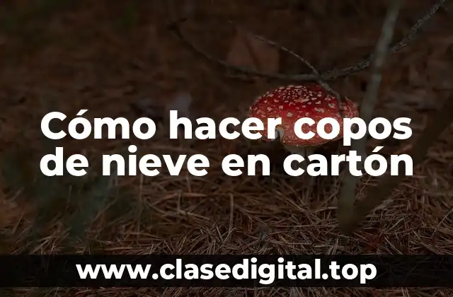 ¿Qué son los copos de nieve en cartón?