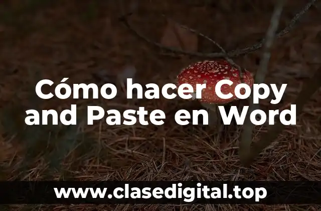 Cómo hacer Copy and Paste en Word