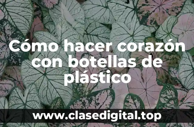 Cómo hacer corazón con botellas de plástico