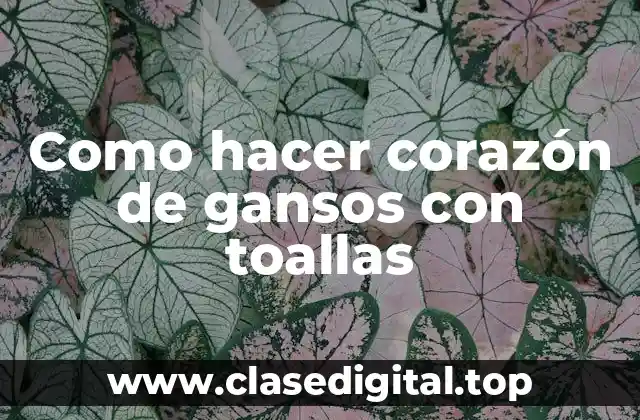 ¿Qué es un corazón de ganso con toallas?