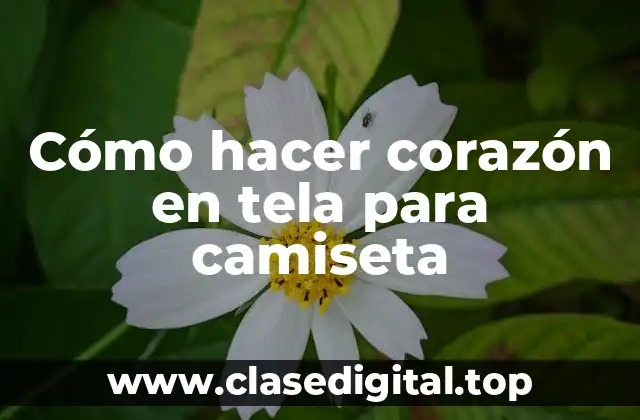 Cómo hacer corazón en tela para camiseta