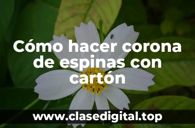 Cómo hacer corona de espinas con cartón