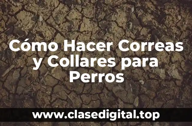 Cómo Hacer Correas y Collares para Perros