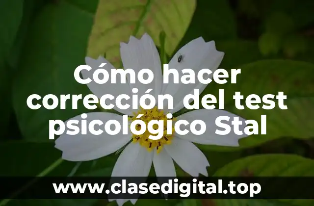 Cómo hacer corrección del test psicológico Stal