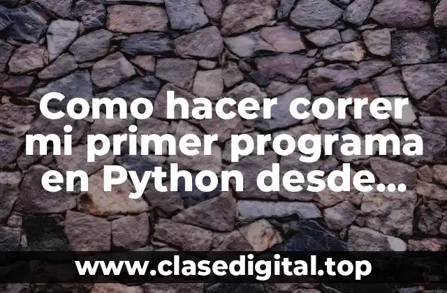 ¿Qué es Python y cómo funciona?