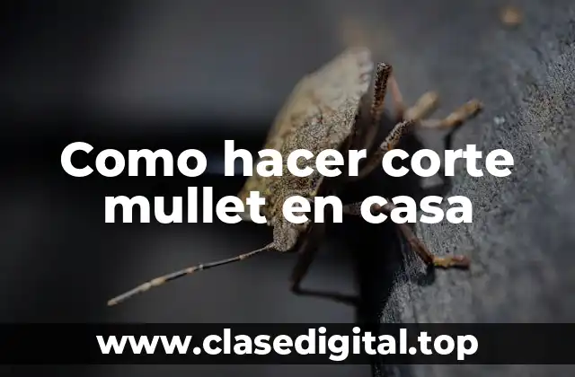 Como hacer corte mullet en casa