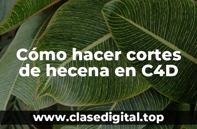 Cómo hacer cortes de hecena en C4D