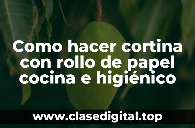 Cortina con rollo de papel cocina e higiénico