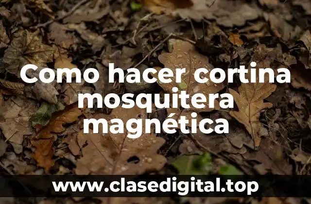 ¿Qué es una cortina mosquitera magnética?