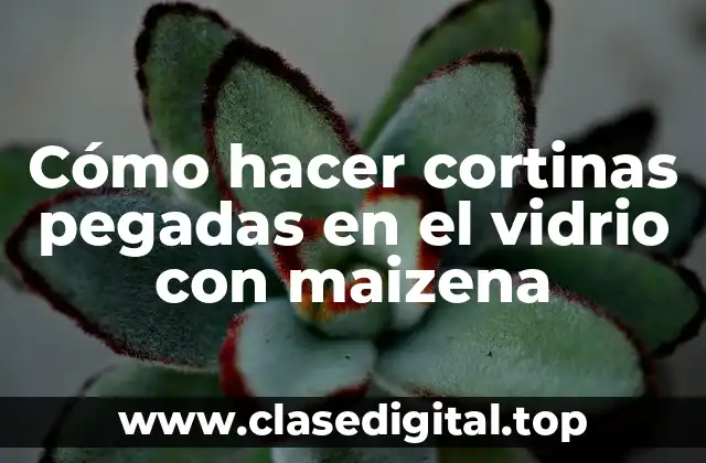 Cómo hacer cortinas pegadas en el vidrio con maizena