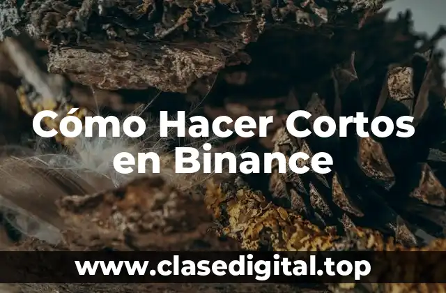Cómo Hacer Cortos en Binance