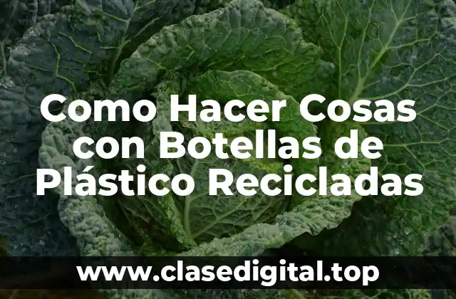 Como Hacer Cosas con Botellas de Plástico Recicladas
