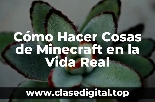 Cómo Hacer Cosas de Minecraft en la Vida Real