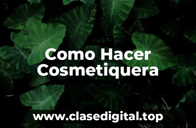 Como Hacer Cosmetiquera
