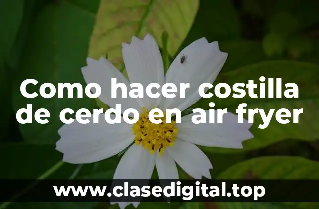 Como hacer costilla de cerdo en air fryer