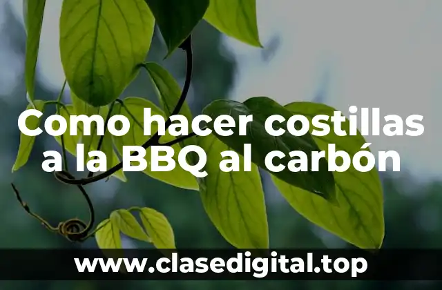 Como hacer costillas a la BBQ al carbón