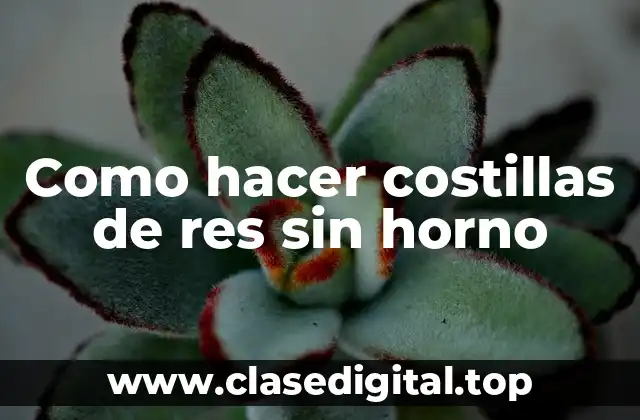 Como hacer costillas de res sin horno