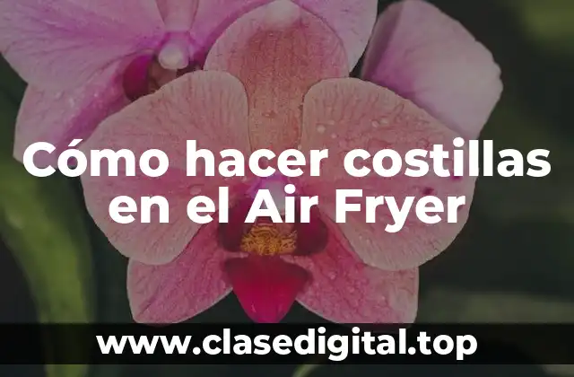 Cómo hacer costillas en el Air Fryer