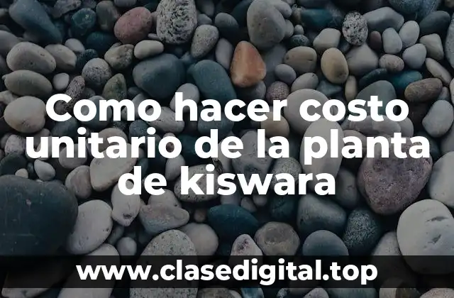 Como hacer costo unitario de la planta de kiswara