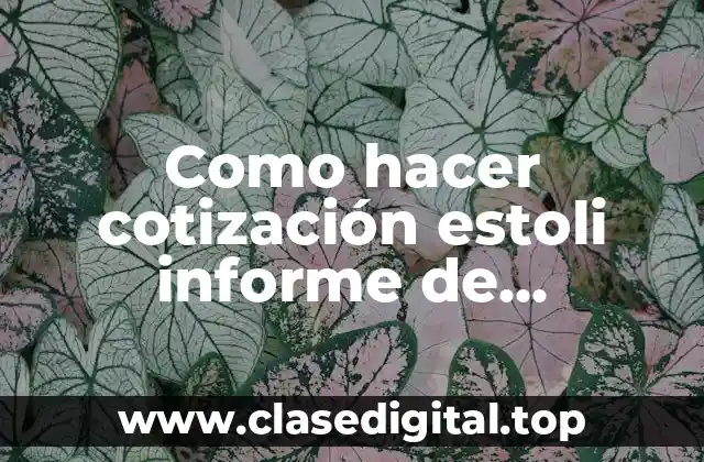 Como hacer cotización estoli informe de ingeniería en software