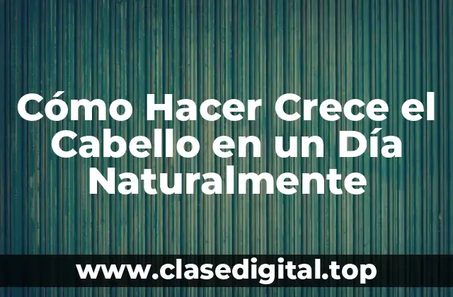 Cómo Hacer Crece el Cabello en un Día Naturalmente